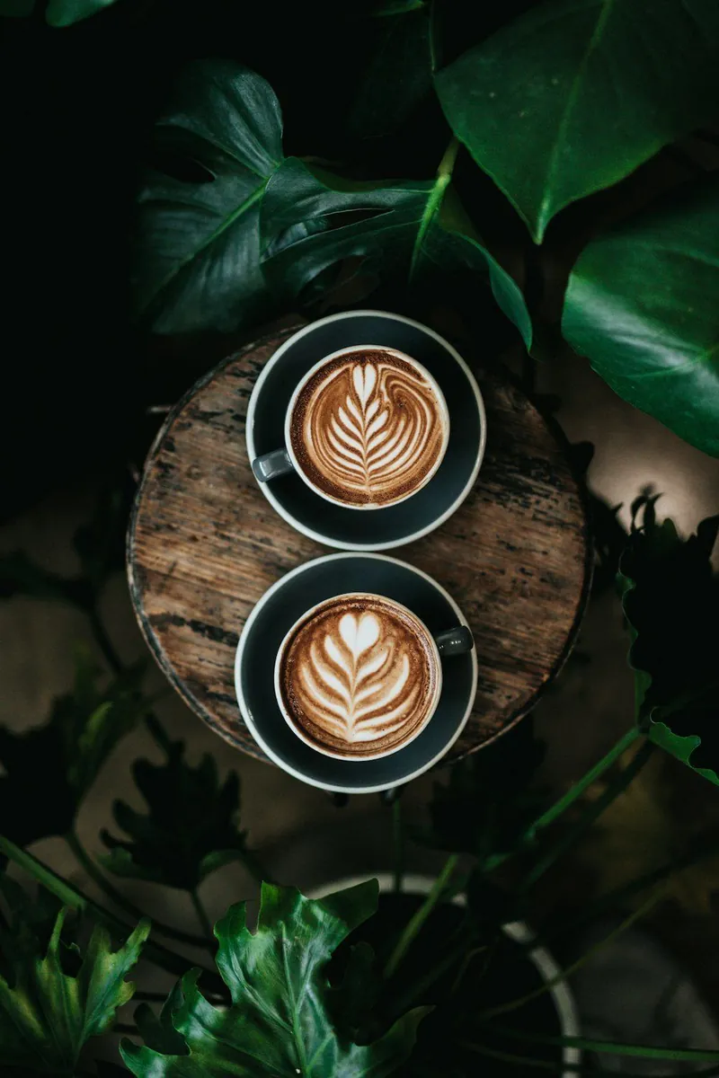 Barista Training & Certification